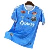 Maglia ufficiale Santos FC Dragon 2025-26 Blu per Uomo Maglia ufficiale Santos FC Dragon 2025-26 Blu per Uomo