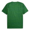 Maglia ufficiale Manchester City Pre-Match 2025-26 Verde per Uomo