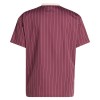 Maglia ufficiale Ajax Terrace Icons 2025-26 per Uomo
