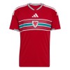 Maglia ufficiale Galles Casa Mondiali 2026 per Uomo Maglia ufficiale Galles Casa Mondiali 2026 per Uomo