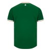 Maglia ufficiale Irlanda Casa 2026-27 per Uomo
