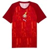 Maglia ufficiale Ghana Pre-Match Mondiali 2026 per Uomo Maglia ufficiale Ghana Pre-Match Mondiali 2026 per Uomo