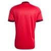 Maglia ufficiale Olympique Lyonnais Trasferta 2026-27 per Uomo