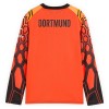 Maglia da Calcio Portiere a Maniche Lunghe Borussia Dortmund Orange Version Casa 2026-27 per Uomo