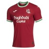Maglia ufficiale Real Sociedad Alternativa 2026-27 per Uomo Maglia ufficiale Real Sociedad Alternativa 2026-27 per Uomo
