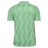 Maglia ufficiale AS Saint-Etienne Alternativa 2026-27 per Uomo