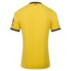 Maglia ufficiale Brentford Alternativa 2026-27 per Uomo