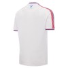 Maglia ufficiale Crystal Palace Casa 2026-27 per Uomo